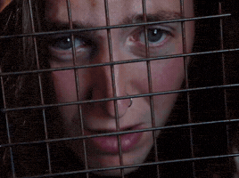 Cat Video GIF by Peach Pit