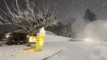 Snow Storm GIF