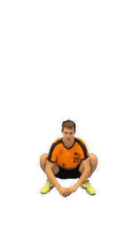 Hbfr Sticker by Handballfreunde Pankow 01