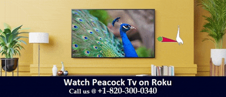 Peacock Tv Roku GIF