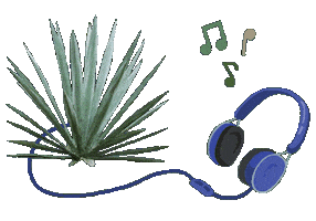 Mexico Musica Sticker by Santa Sabia Media