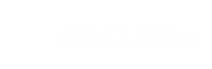 Ricardo Belizário Corretor de Imóveis Sticker
