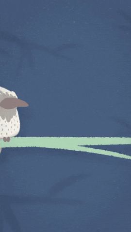 HorribleHorris animation christmas birds aftereffects GIF