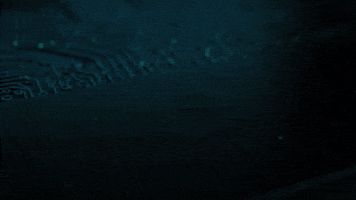 GIF by notgpt