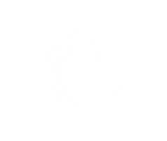 Frog Worrld Sticker by JGrrey