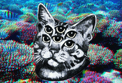 obey