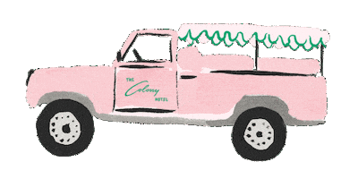 Palm Beach Defender Sticker by The Colony Palm Beach