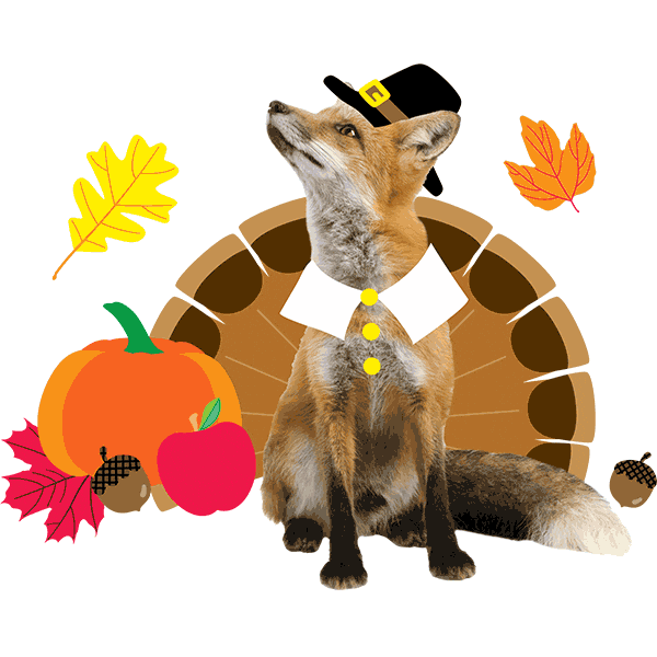 Fox Fall Sticker by Schoolgirl Style Classroom Decor