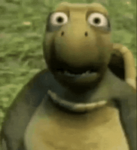 Turtle Trend GIF