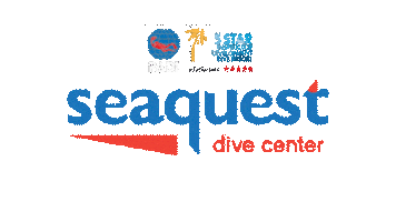 Philippines Diving Sticker by Seaquest Dive center