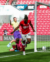 Celebration Goal GIF by Bristol City FC