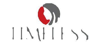 Timeless Aesthetics Sticker