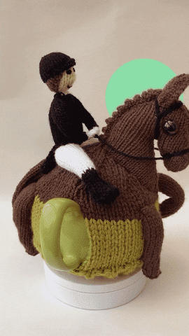 Sport Horse GIF by TeaCosyFolk