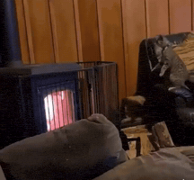 Toohot GIF