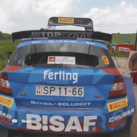 Staring Kick Off GIF by FIA European Rally Championship