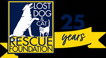 Ldcrf GIF by Lost Dog and Cat Rescue Foundation