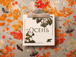 Fall GIF by Russian Music Seasons
