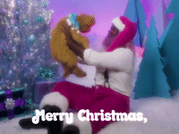 Merry Christmas,  You Filthy Animal!