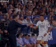 Real Madrid Football GIF