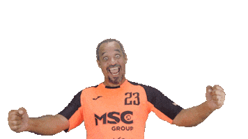 MSC Plus Sticker