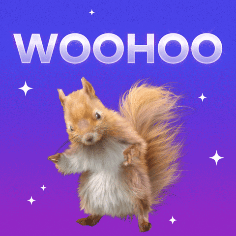 Happy-squirrel GIFs - Get the best GIF on GIPHY