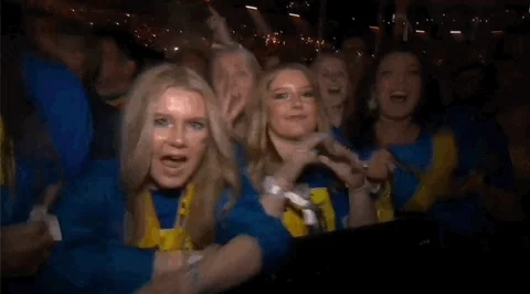 Sweden Swedish GIF
