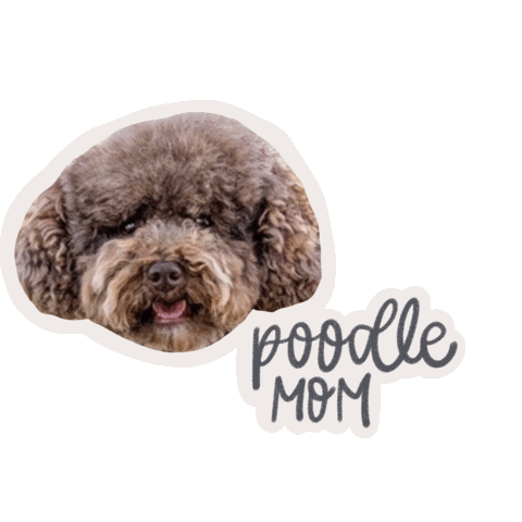 Poodle Nutella Sticker