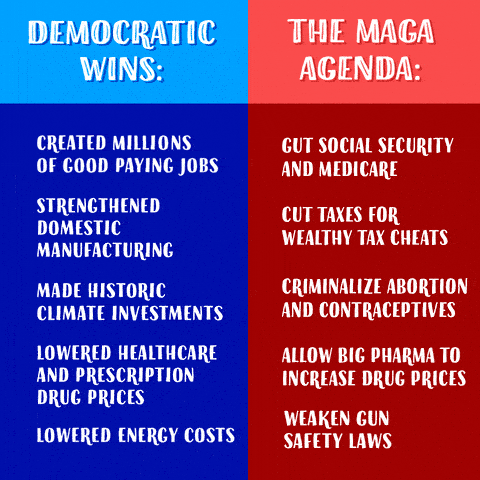 Democratic wins vs the MAGA agenda