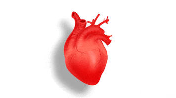 arthurojuara heart coracao emocao pulso GIF