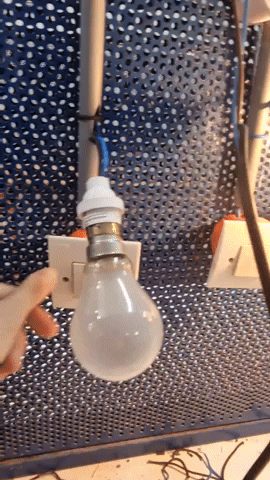 Light Bulbs GIF