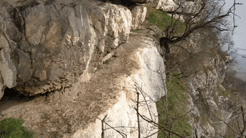 Trail GIF