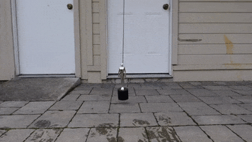 200.gif?cid=fc005b080d1de379c8da2a08865482198d2cfff5a7e5ee68&rid=200.gif&ct=g