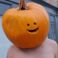Happy Trick Or Treat GIF by Budgy Smuggler