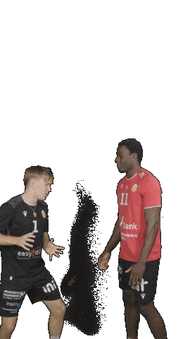 Deutschland Sticker by Volleyball Bundesliga