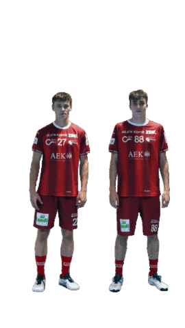 Unihockey Ritz Sticker