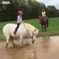 Horse Reaction GIF by MOODMAN