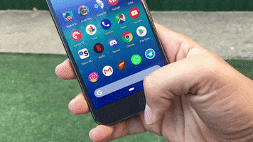 Animated GIF