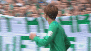 bundesliga GIF by SV Werder Bremen