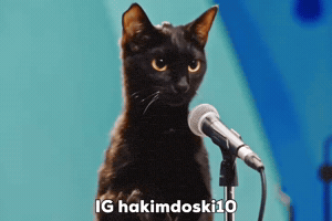 Black Cat GIF