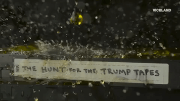 trump tapes pee tape GIF by THE HUNT FOR THE TRUMP TAPES