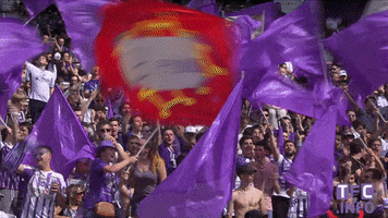 ligue 1 stadium GIF by Toulouse Football Club