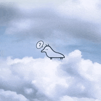 question mark lol GIF by Animals Facing Left
