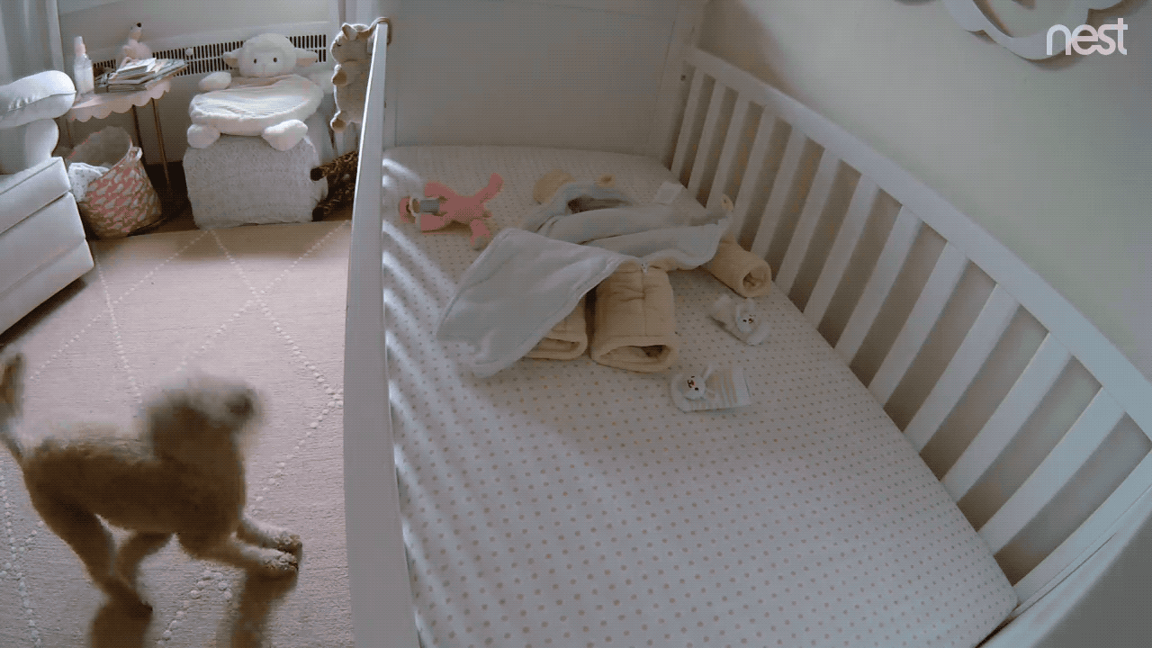 Snuggle Up Nest Cam GIF by Nest