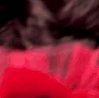 符號系 GIF