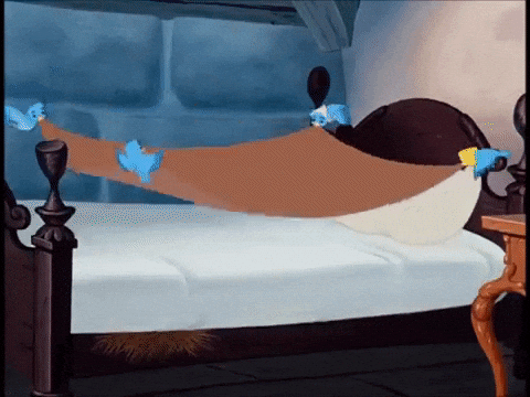 Making Bed Gifs Get The Best Gif On Giphy