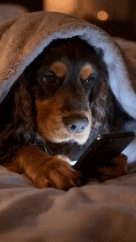 Watching All Night GIF