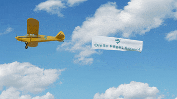 Omlie Flight School GIF by Omlie Consulting