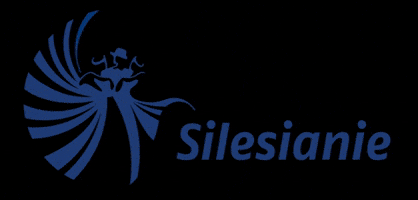Sil004 GIF by Silesianie