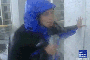 Reporter Wind GIF