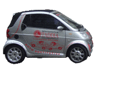 Taddia Group Sticker